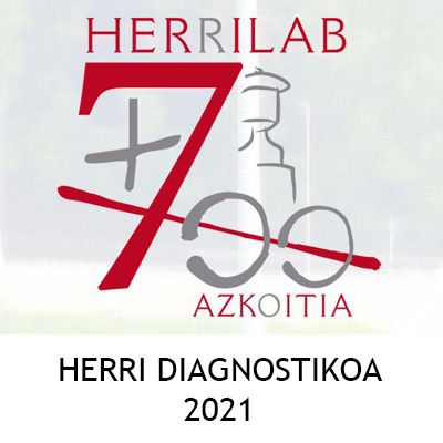 2021 HERRI DIAGNOSTIKOA